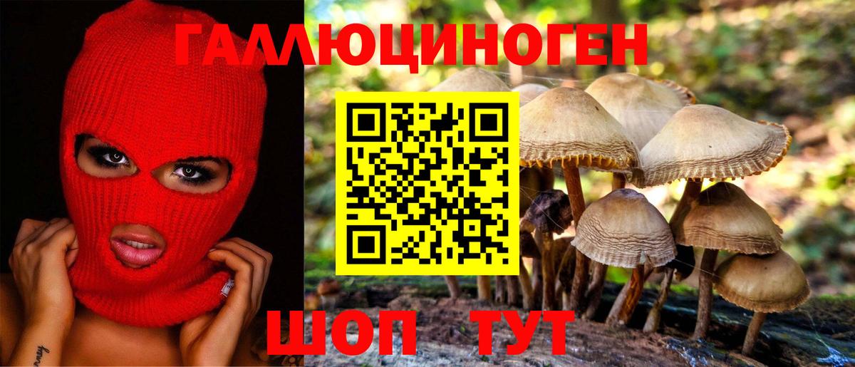 Псилоцибиновые грибы Magic Shrooms  Галлюциногенные грибы GOLDEN TEACHER  Вход с VPN  Гусев 